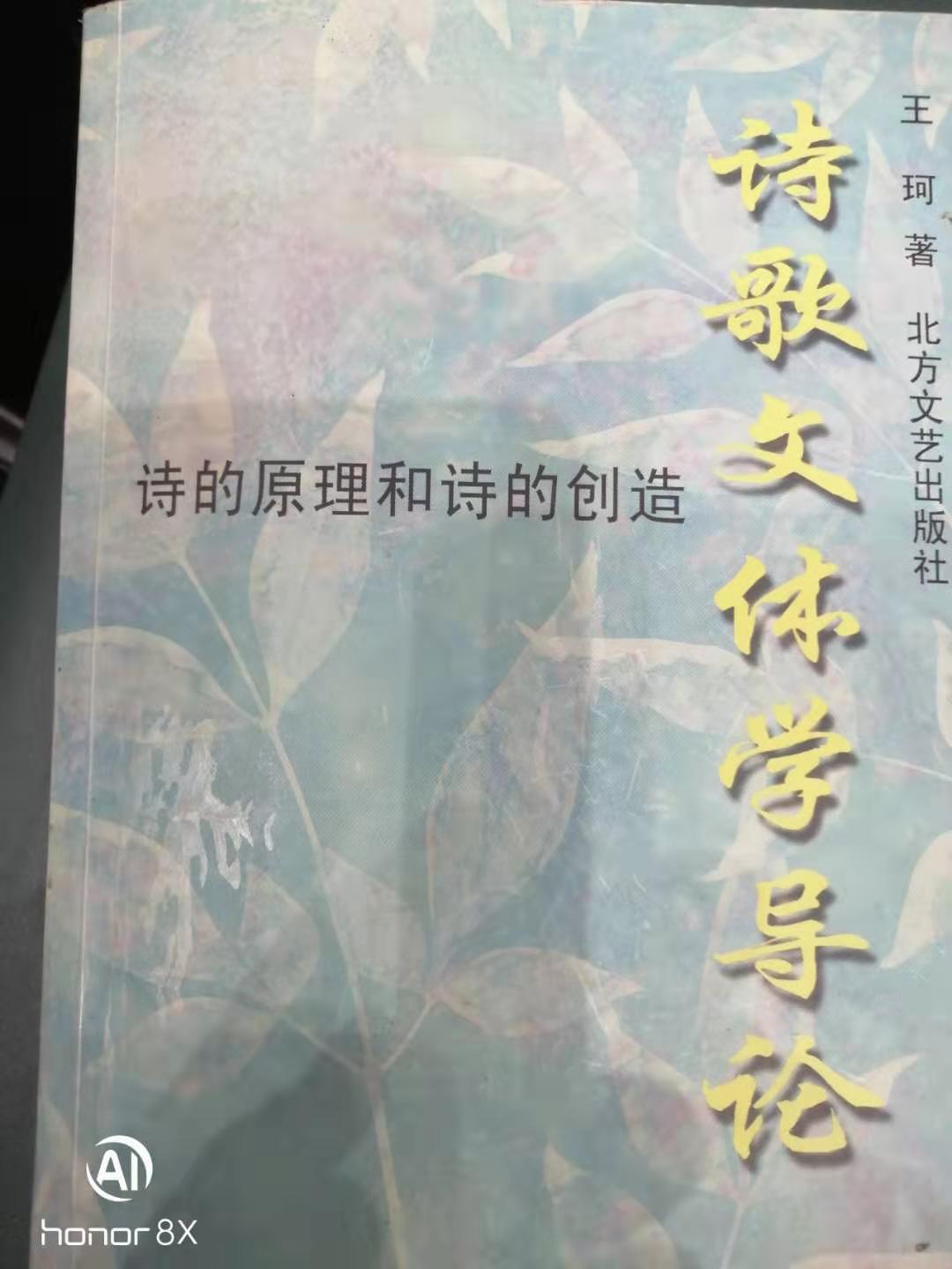 十三行漢詩 讀王珂《詩歌文體學(xué)導(dǎo)論一一詩的原理和詩的創(chuàng)造》