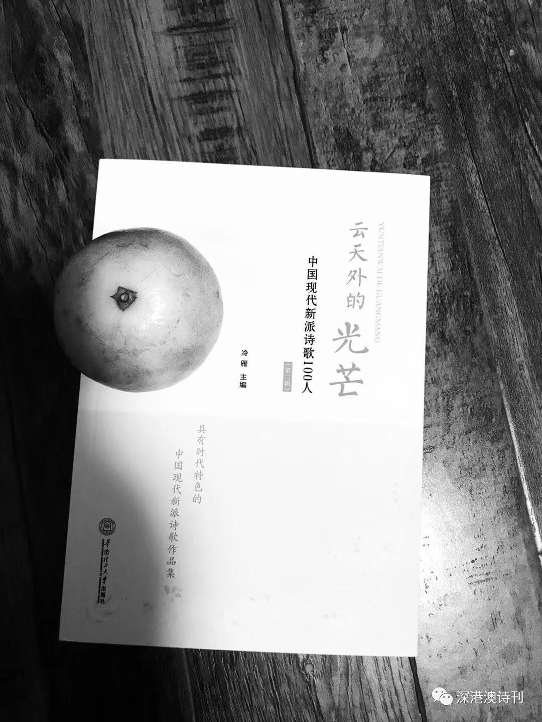 【現(xiàn)代新派十人】黃永健 || 入選「云天外的光芒」系列作品展播《手槍詩?十槍》